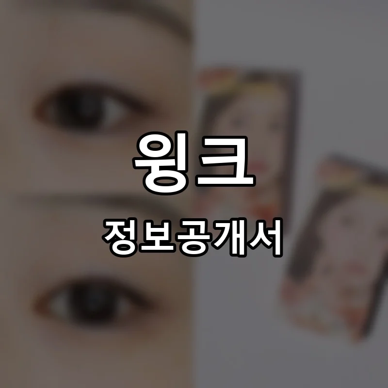 윙크 프랜차이즈 정보공개서