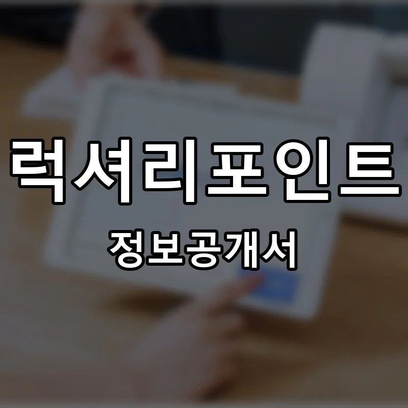럭셔리포인트 프랜차이즈 정보공개서