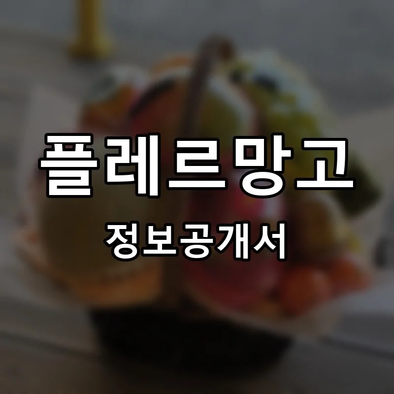 플레르망고 프랜차이즈 정보공개서