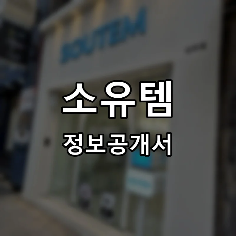 소유템 프랜차이즈 정보공개서