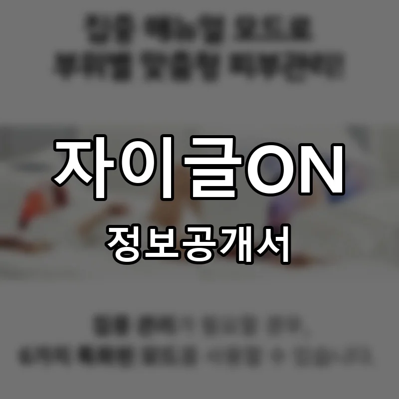 자이글ON 프랜차이즈 정보공개서