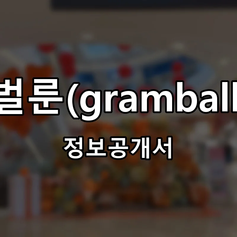 그램벌룬(gramballoon) 프랜차이즈 창업 비용 정보공개서 요약