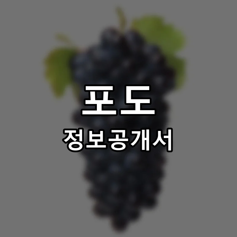 포도 프랜차이즈 창업 비용 정보공개서 요약