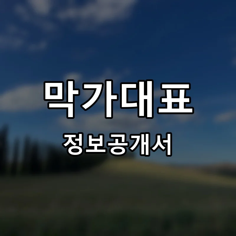 막가대표 프랜차이즈 창업 비용 정보공개서 요약