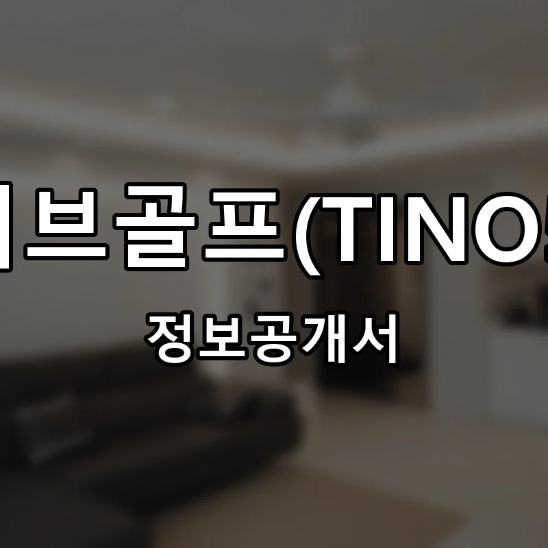 티노파이브골프(TINO5 GOLF) 프랜차이즈 창업 비용 정보공개서 요약