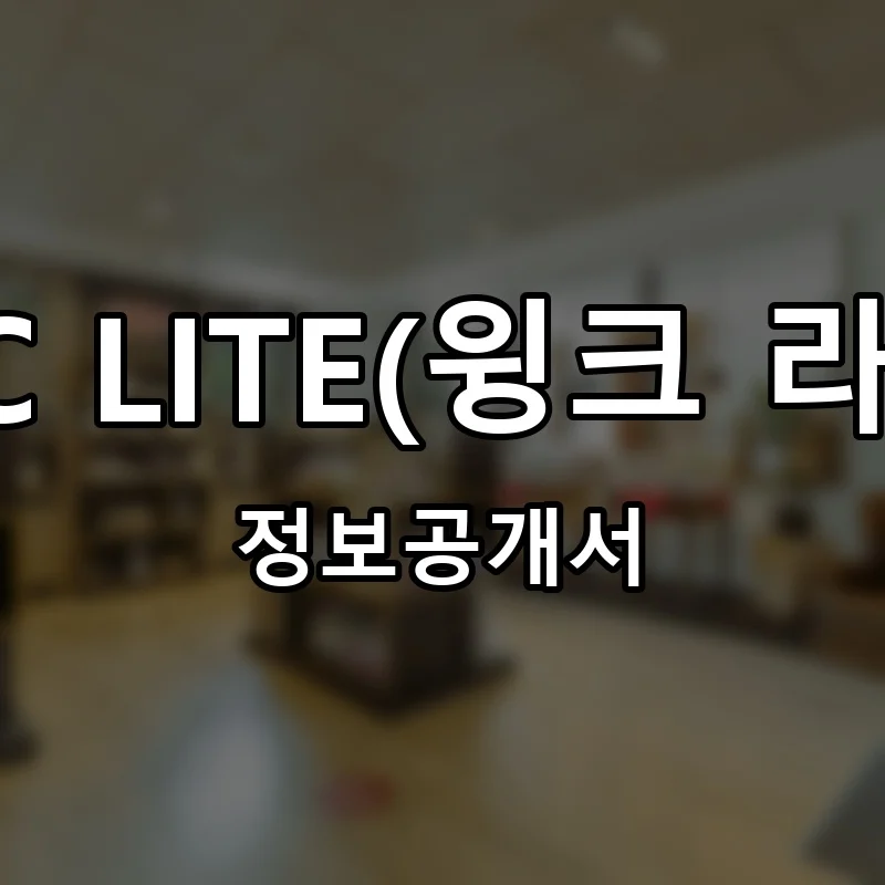 윙크 프랜차이즈 창업 비용 정보공개서 요약
