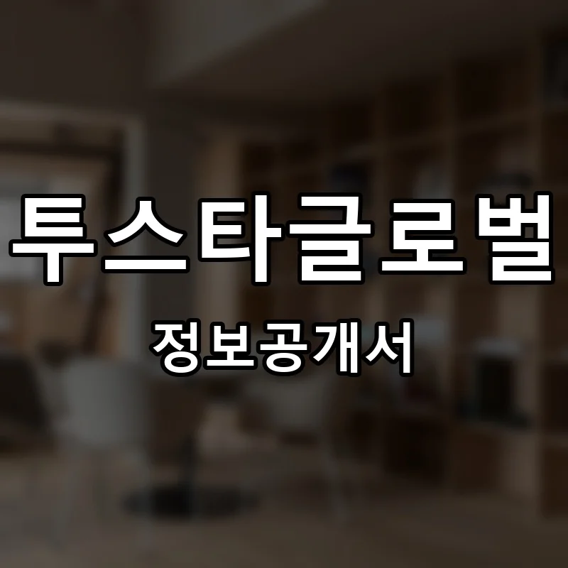 투스타글로벌 프랜차이즈 창업 비용 정보공개서 요약