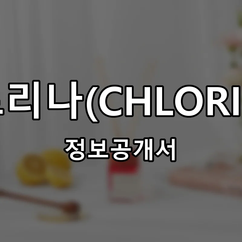클로리나(CHLORINA) 프랜차이즈 창업 비용 정보공개서 요약