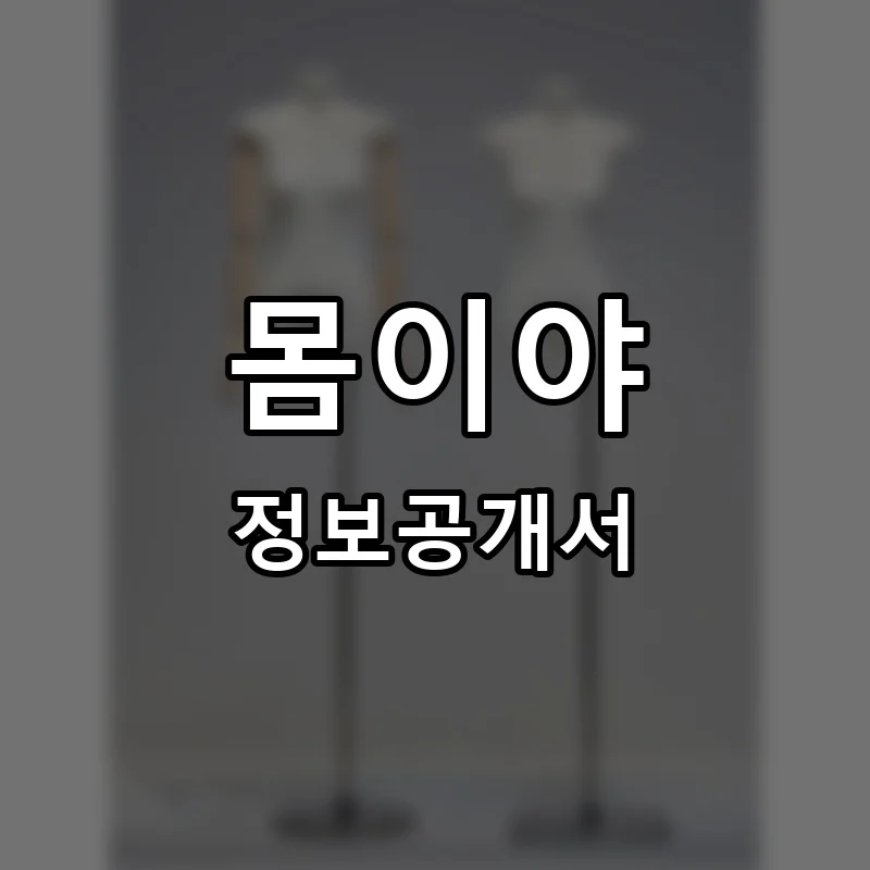 몸이야 프랜차이즈 창업 비용 정보공개서 요약