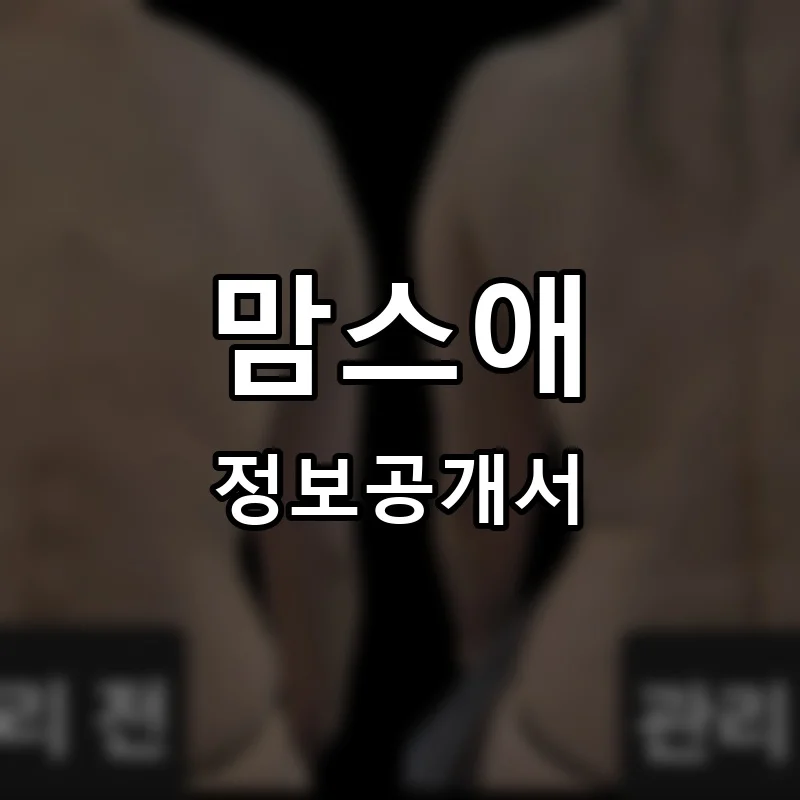 맘스애 프랜차이즈 창업 비용 정보공개서 요약