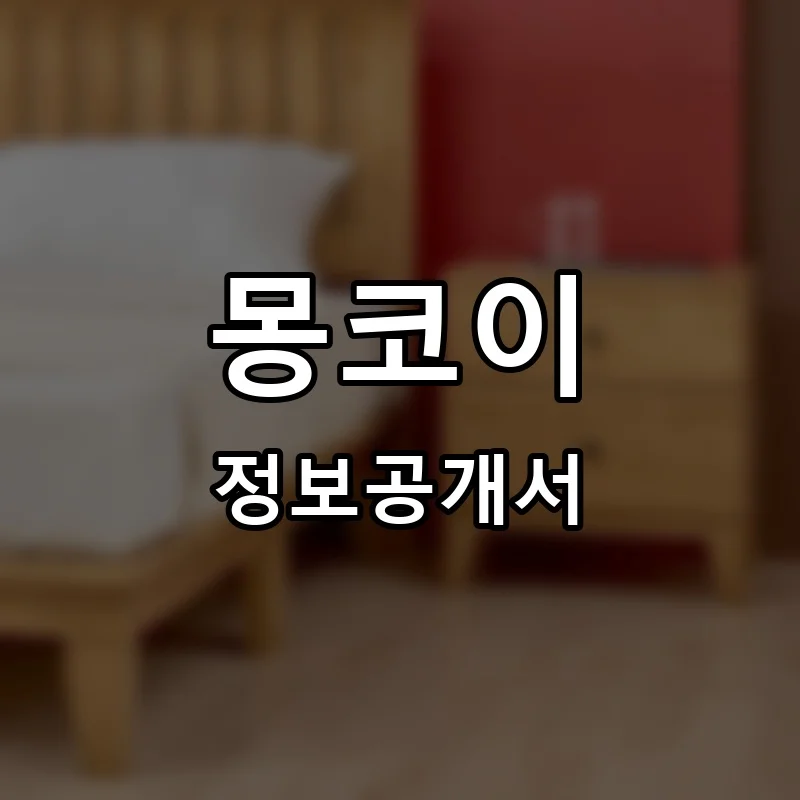 몽코이 프랜차이즈 창업 비용 정보공개서 요약