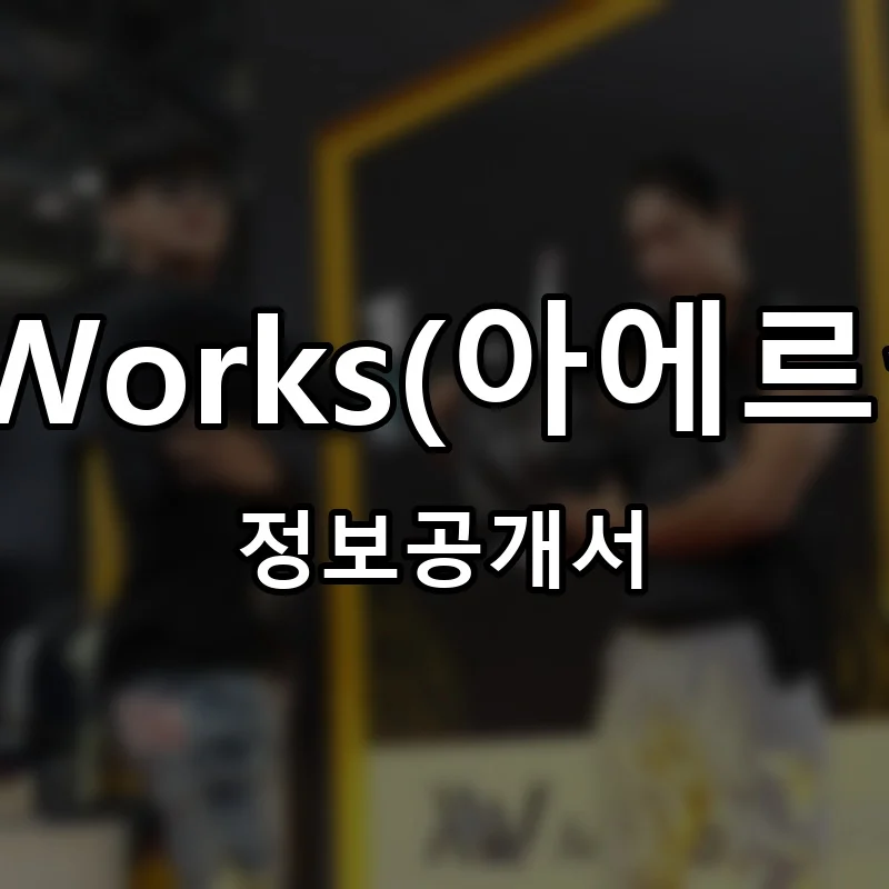 Aer Works(아에르웍스) 프랜차이즈 창업 비용 정보공개서 요약