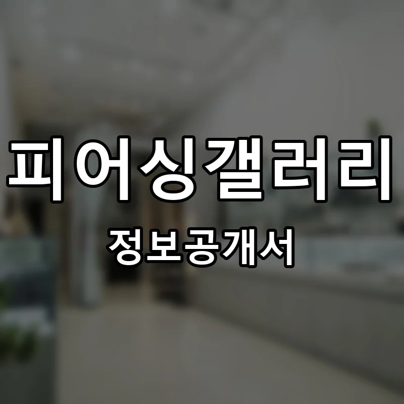피어싱갤러리 프랜차이즈 창업 비용 정보공개서 요약