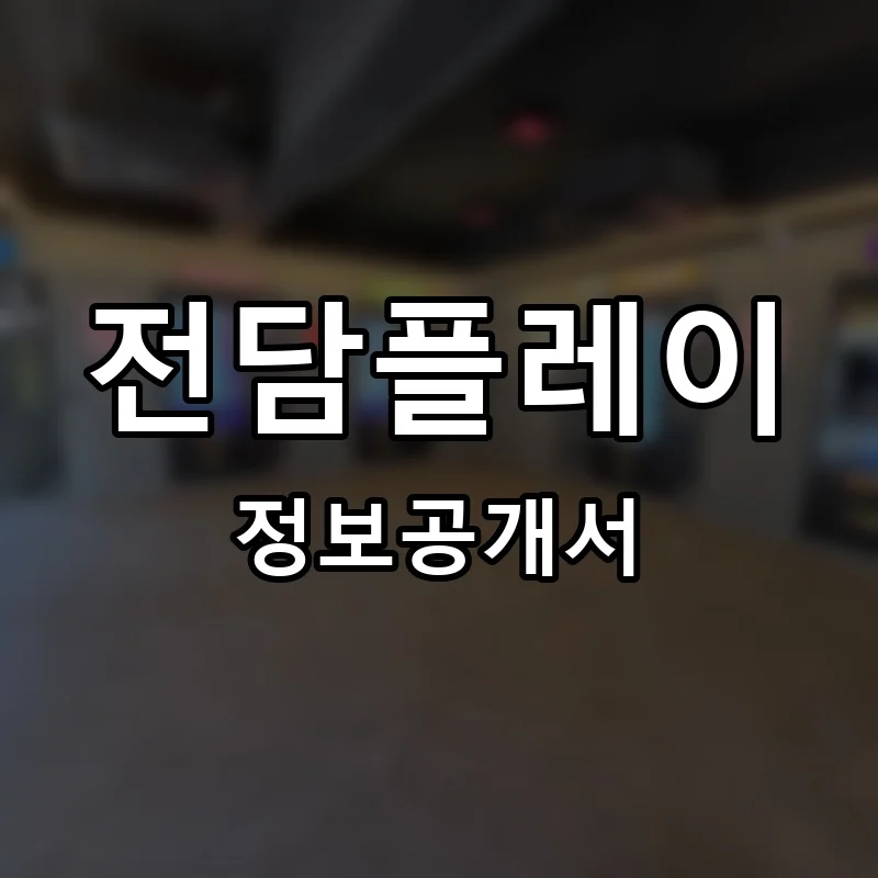 전담플레이 프랜차이즈 창업 비용 정보공개서 요약