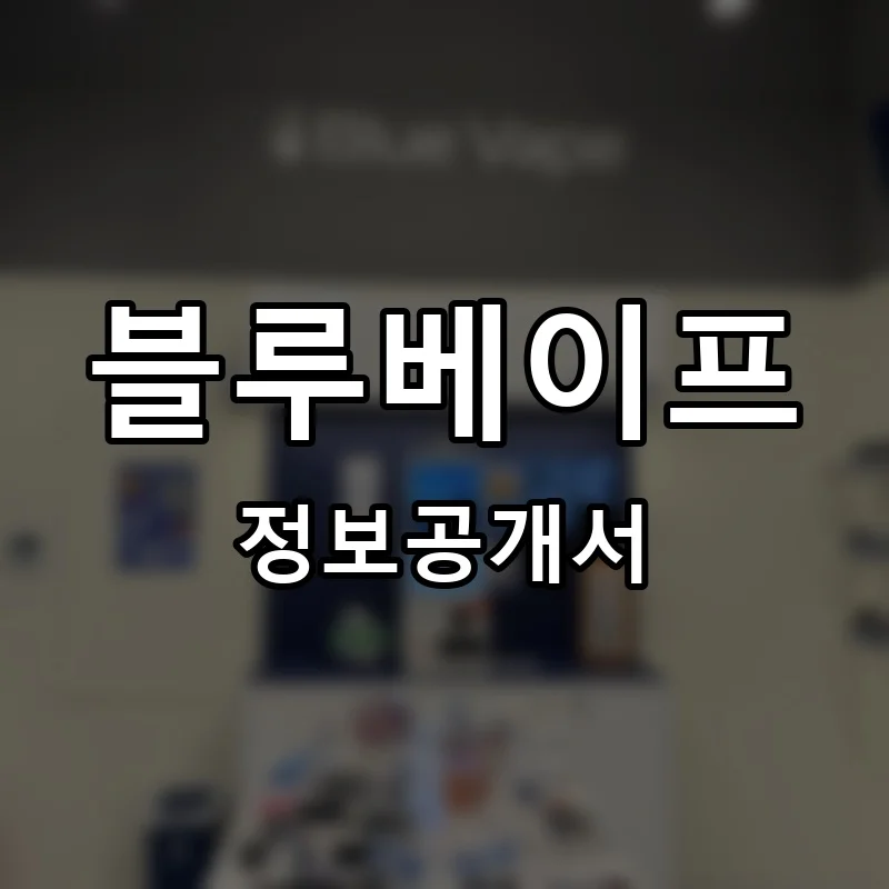 블루베이프 프랜차이즈 정보공개서