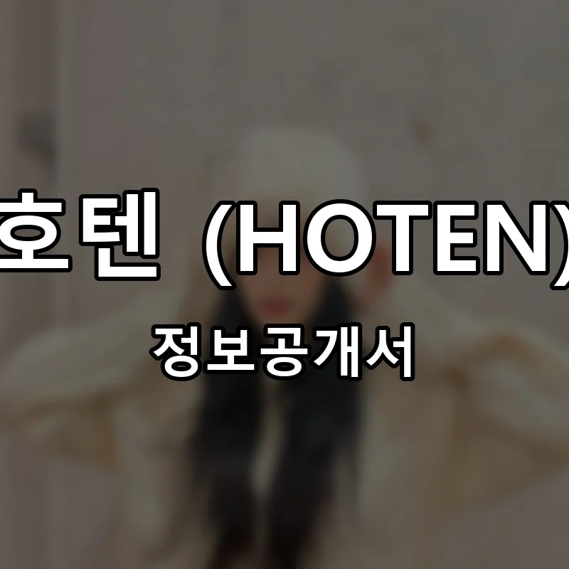 호텐 (HOTEN) 프랜차이즈 창업 비용 정보공개서 요약