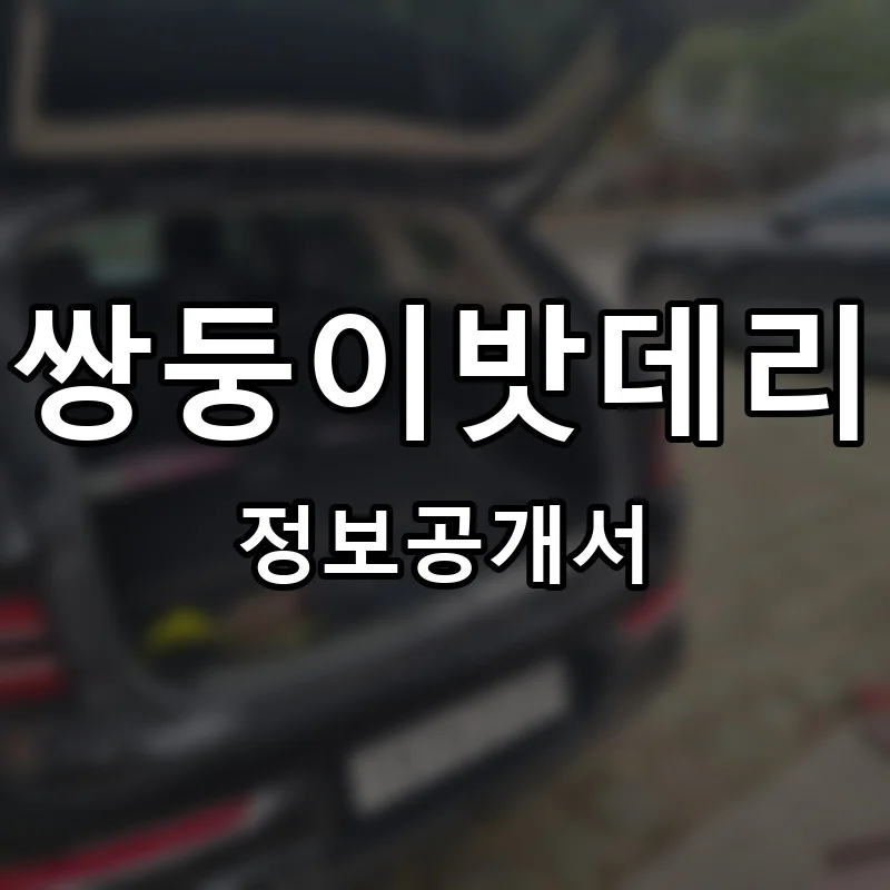 쌍둥이밧데리 프랜차이즈 창업 비용 정보공개서 요약