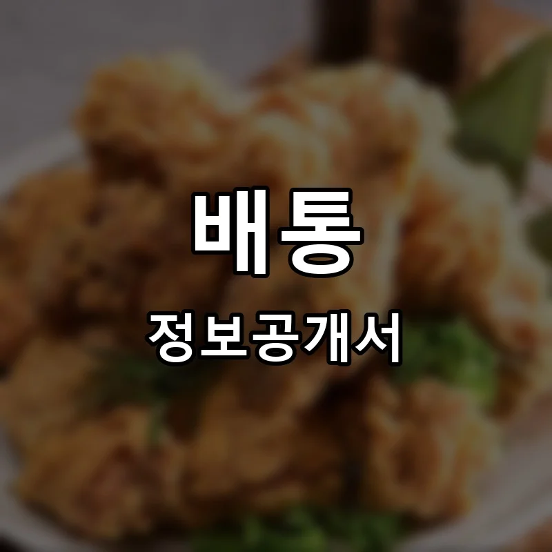 배통 프랜차이즈 정보공개서