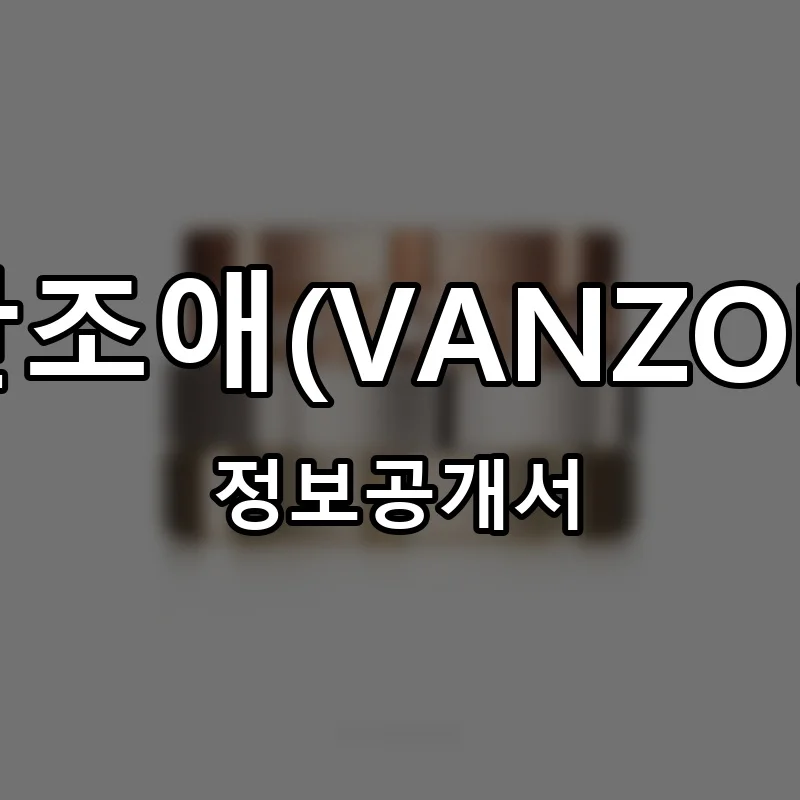 반조애(VANZOE) 프랜차이즈 창업 비용 정보공개서 요약