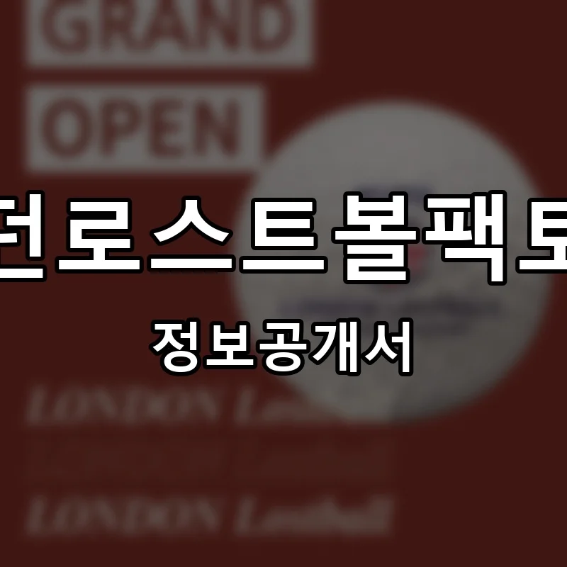 런던로스트볼팩토리 프랜차이즈 창업 비용 정보공개서 요약