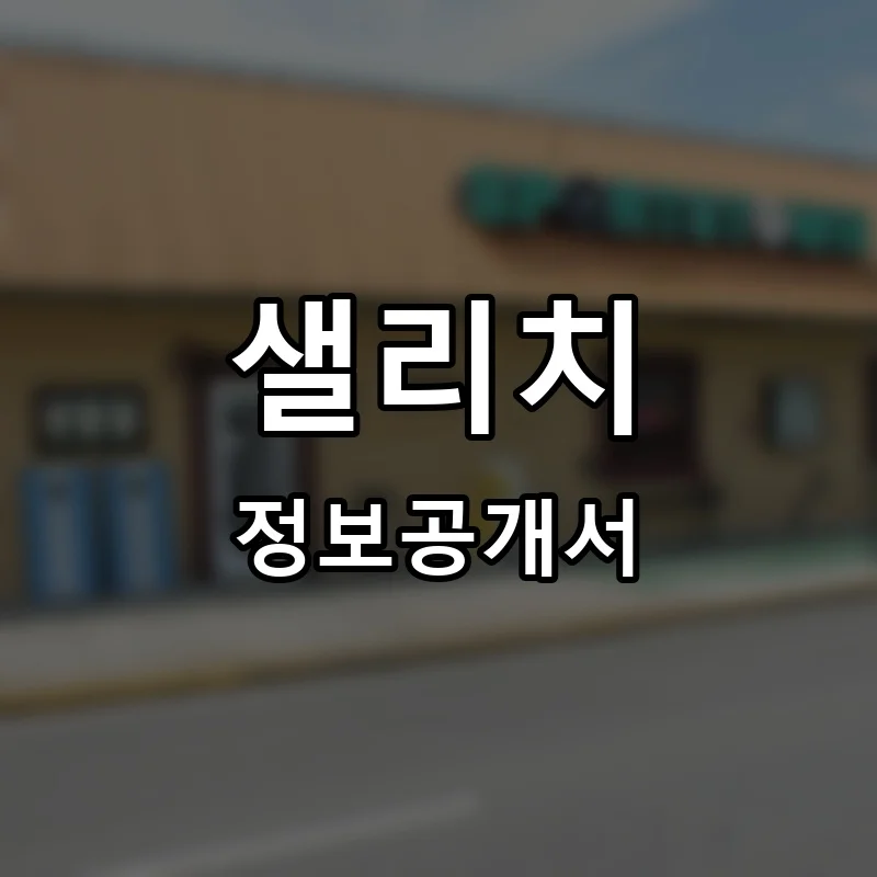 샐리치 프랜차이즈 창업 비용 정보공개서 요약