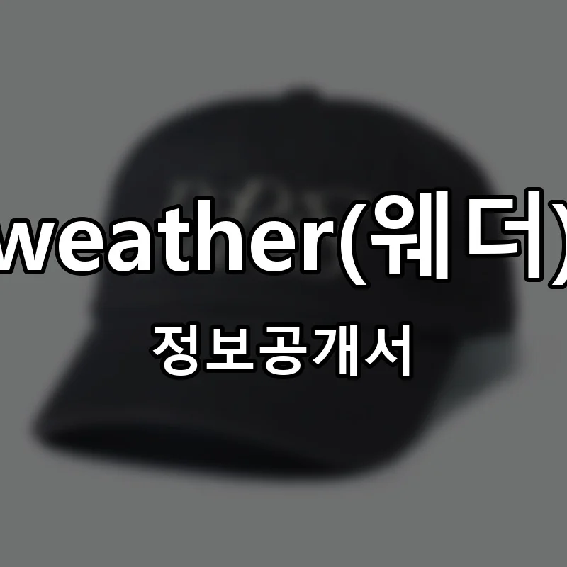 weather(웨더) 프랜차이즈 창업 비용 정보공개서 요약
