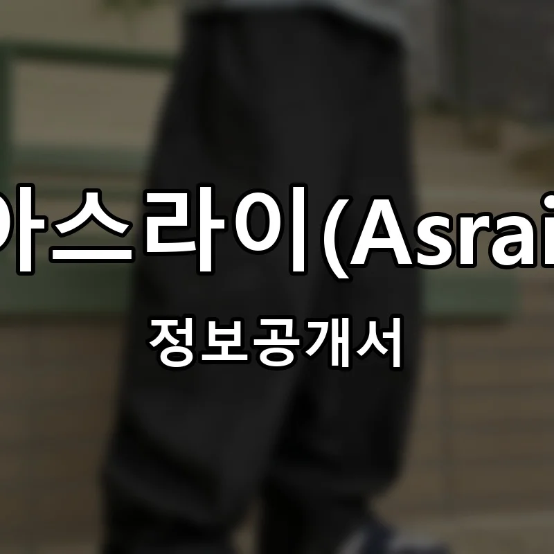 아스라이(Asrai) 프랜차이즈 창업 비용 정보공개서 요약
