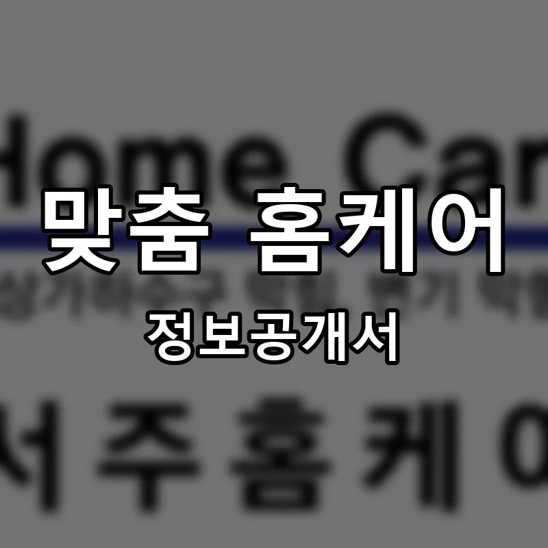 맞춤 홈케어 프랜차이즈 창업 비용 정보공개서 요약