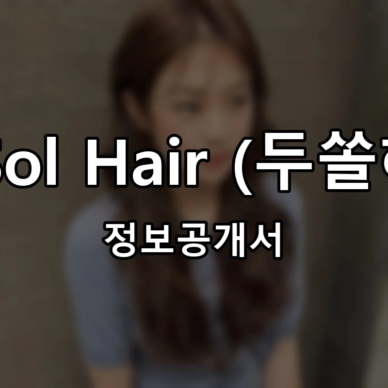 두쏠헤어 창업 Du Sol Hair 프랜차이즈 정보공개서 요약 2026.04.07