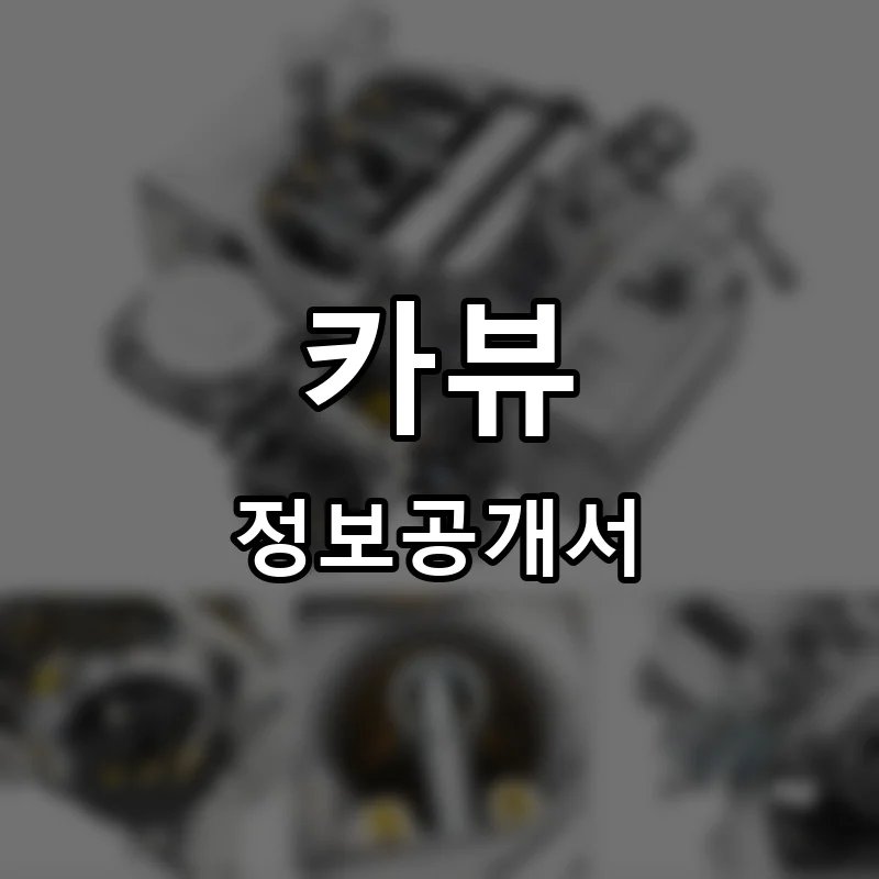 카뷰 창업 프랜차이즈 정보공개서 요약 2026.06.25