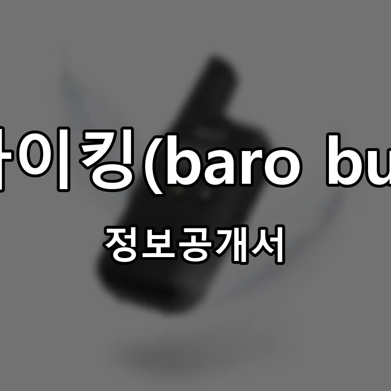바로 바이킹(baro buyking) 창업 프랜차이즈 정보공개서 요약 2026.01.30