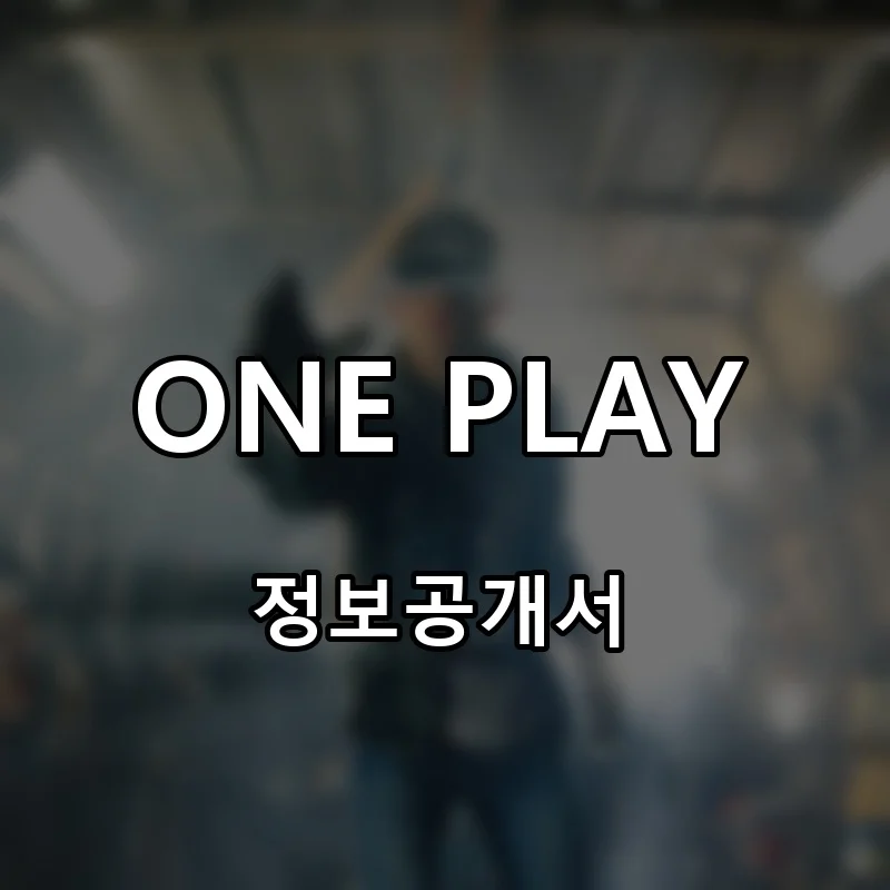 ONE PLAY 창업 프랜차이즈 정보공개서 요약 2025.10.13
