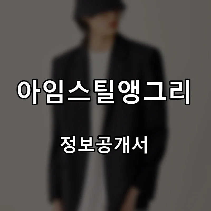 아임스틸앵그리(I'm Still Angry) 프랜차이즈 창업 비용 정보공개서 요약