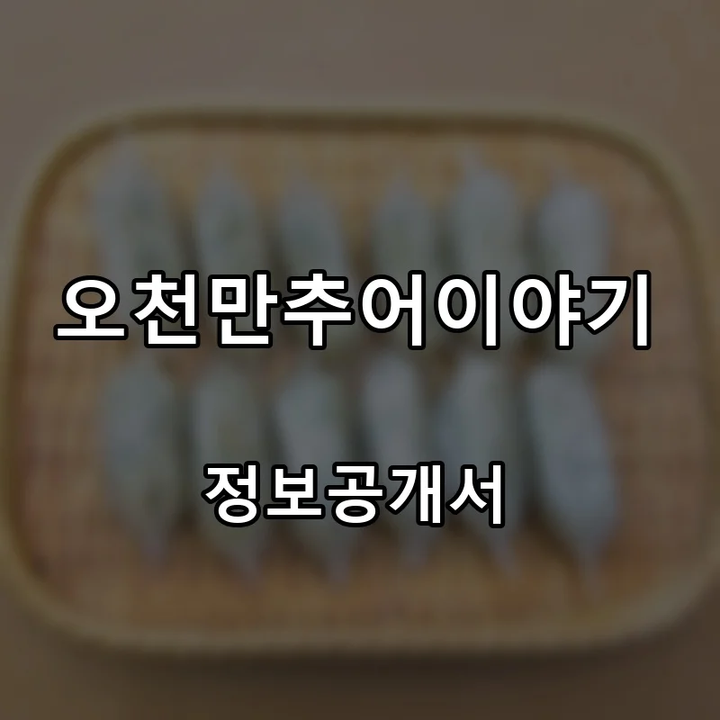 오천만추어이야기 창업 프랜차이즈 정보공개서 요약 2024.11.04