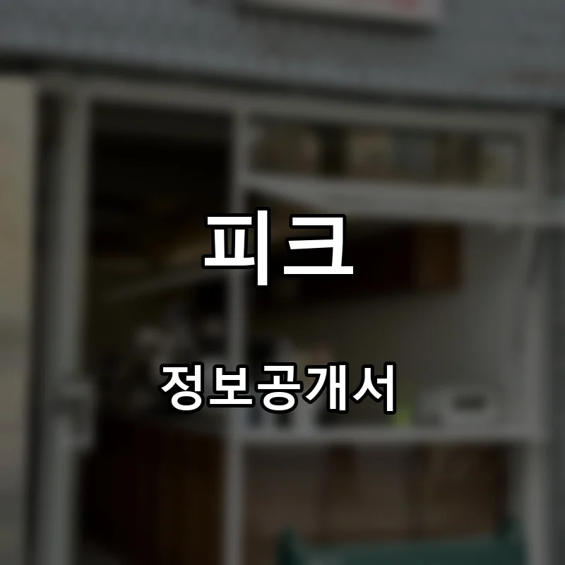 피크 창업 프랜차이즈 정보공개서 요약 2026.06.04