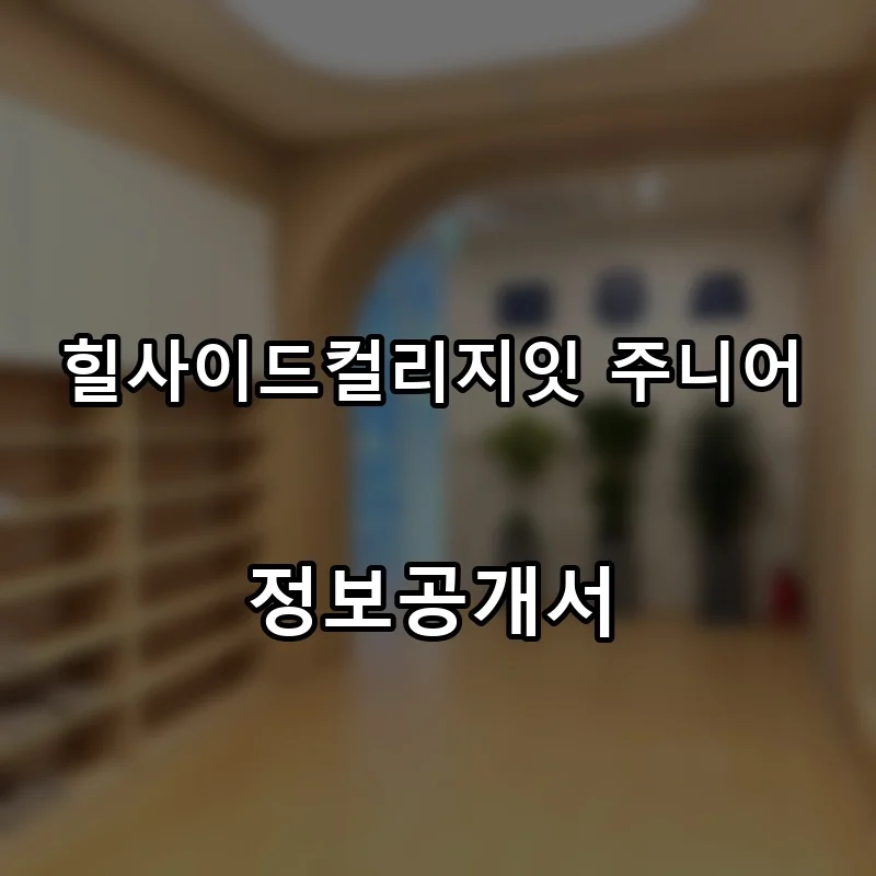 힐사이드컬리지잇 주니어 프랜차이즈 창업 비용 정보공개서 요약