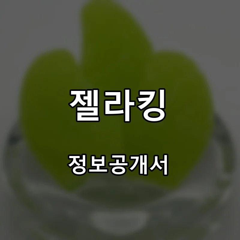 젤라킹 프랜차이즈 창업 비용 정보공개서 요약