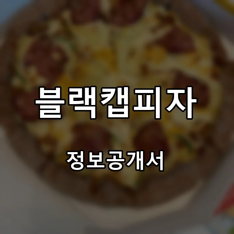 블랙캡피자 프랜차이즈 창업 비용 정보공개서 요약