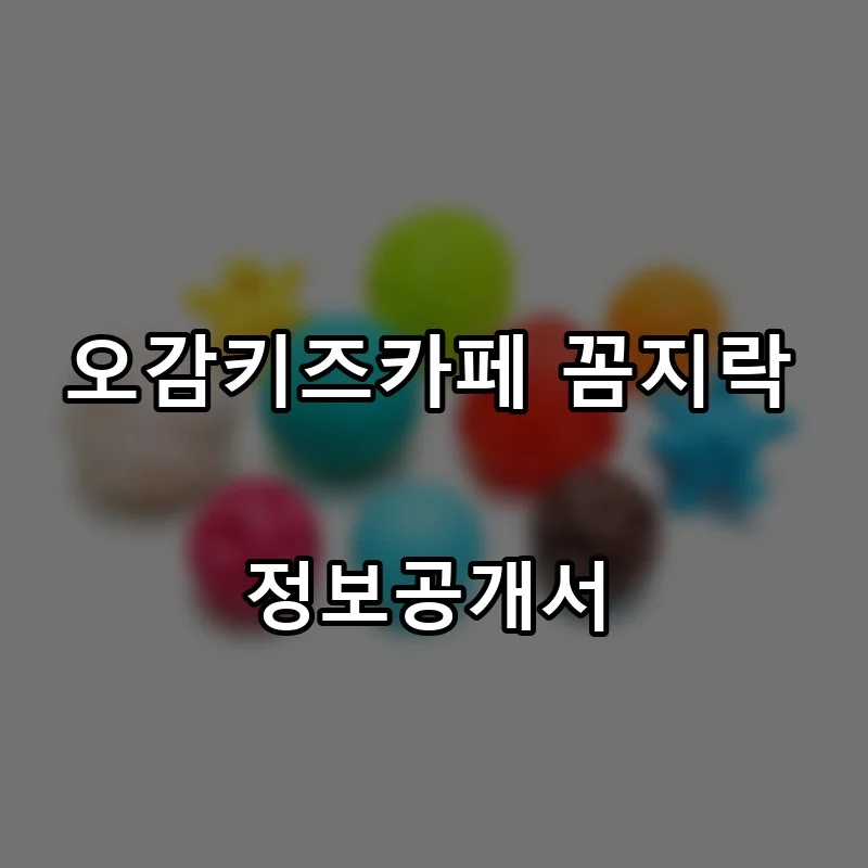 오감키즈카페 꼼지락 프랜차이즈 창업 비용 정보공개서 요약