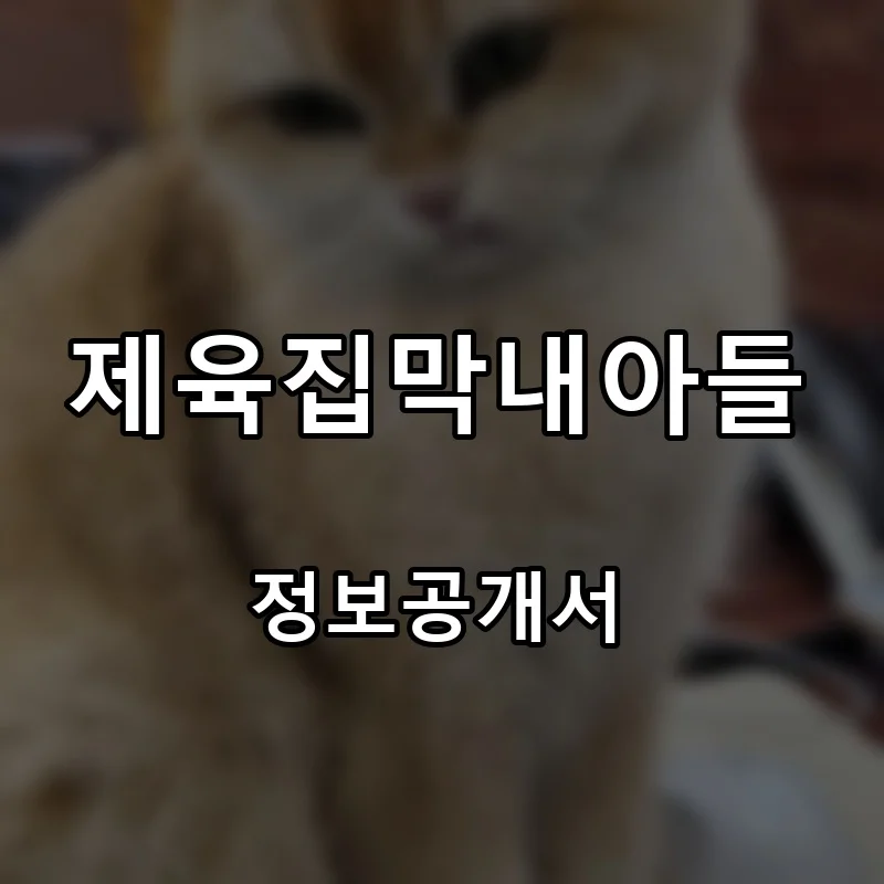 제육집막내아들 프랜차이즈 창업 비용 정보공개서 요약