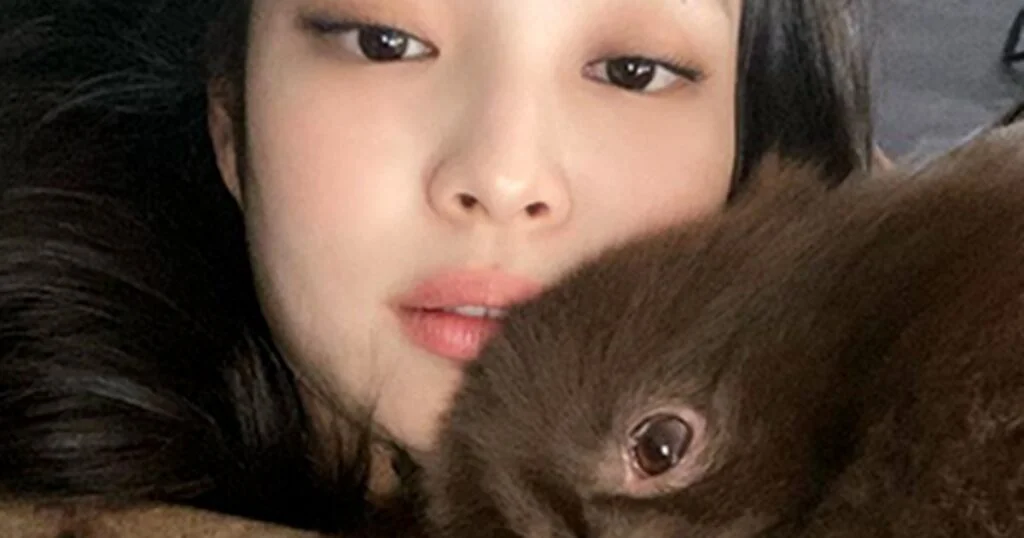 제니가, 제니 이슈 핵심 정리와 배경 3가지 쟁점