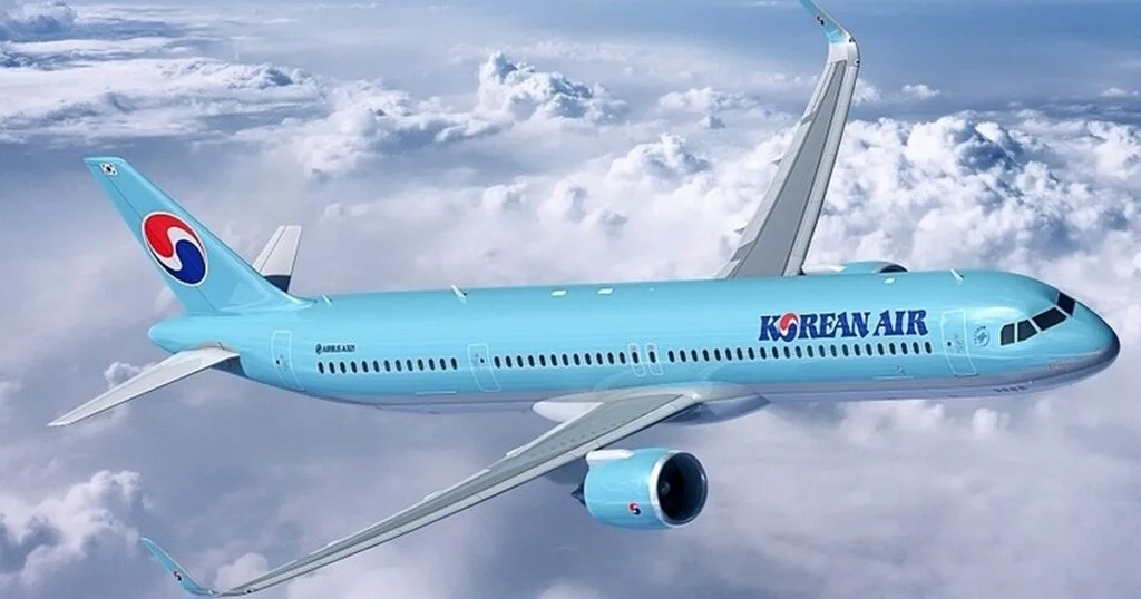 대한 연관 이슈, 결국 터졌다! 5가지 진짜 이유
