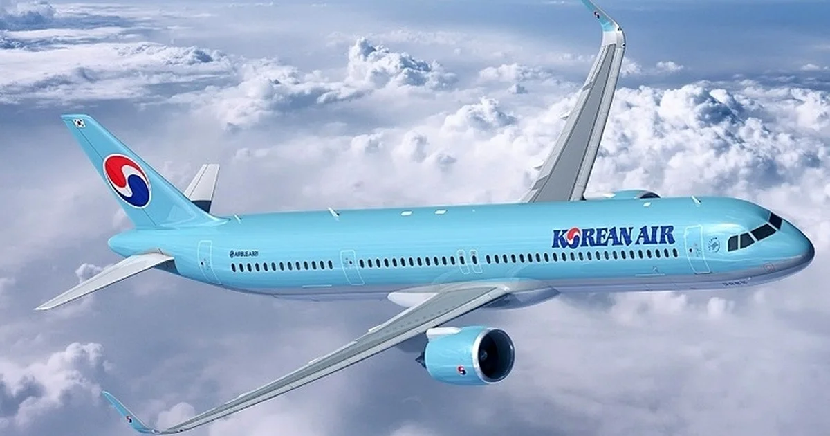 대한 연관 이슈, 결국 터졌다! 5가지 진짜 이유