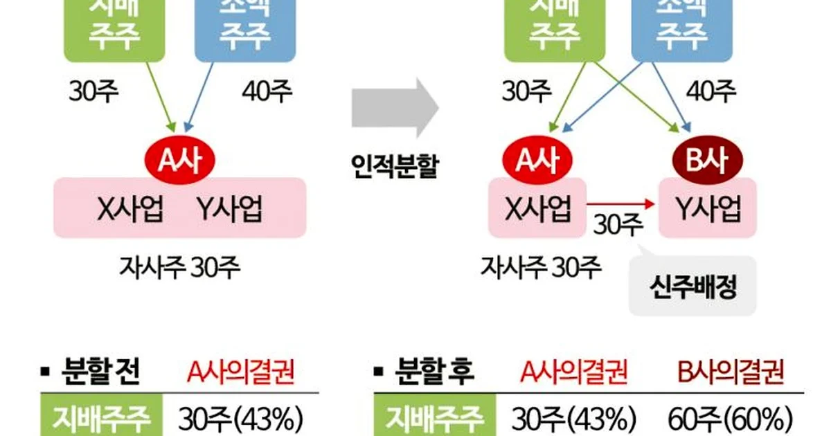 자사주 논란의 충격 실체 7가지
