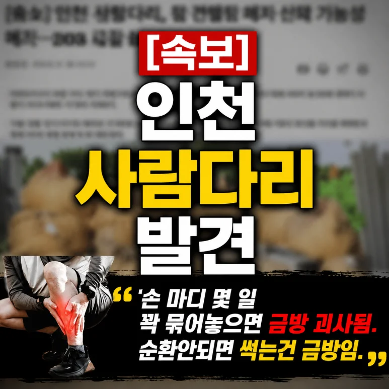 인천 요양병원 - 인천 요양병원에서 발생한 사건의 진실 5가지