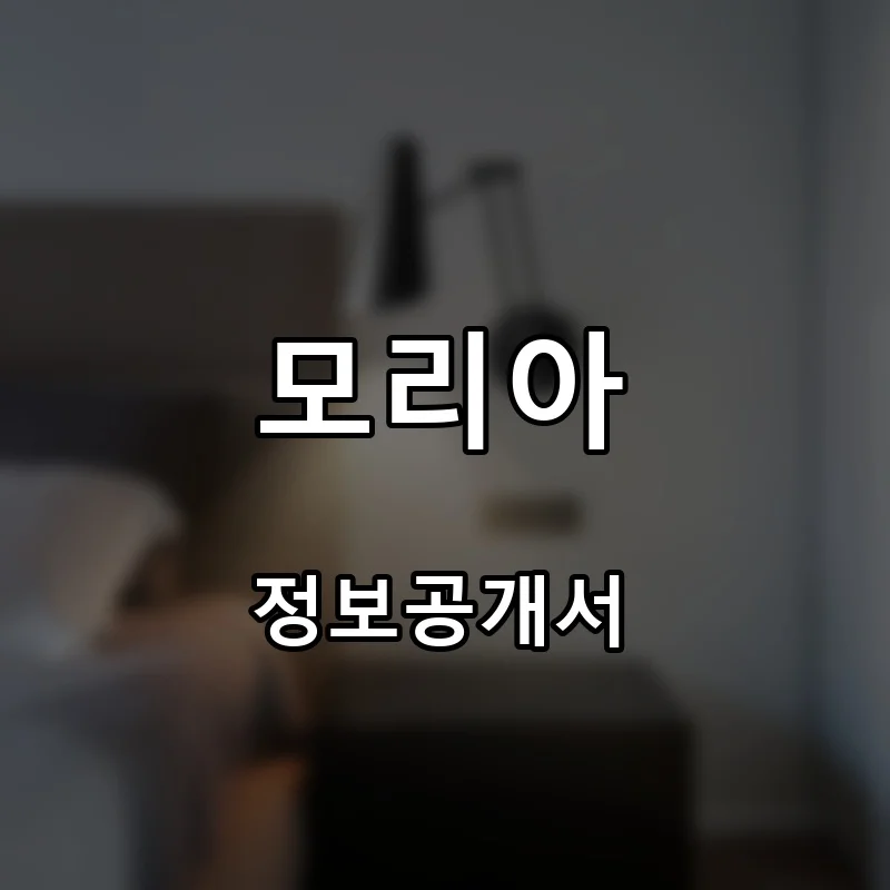 모리아 프랜차이즈 창업 비용 정보공개서 요약