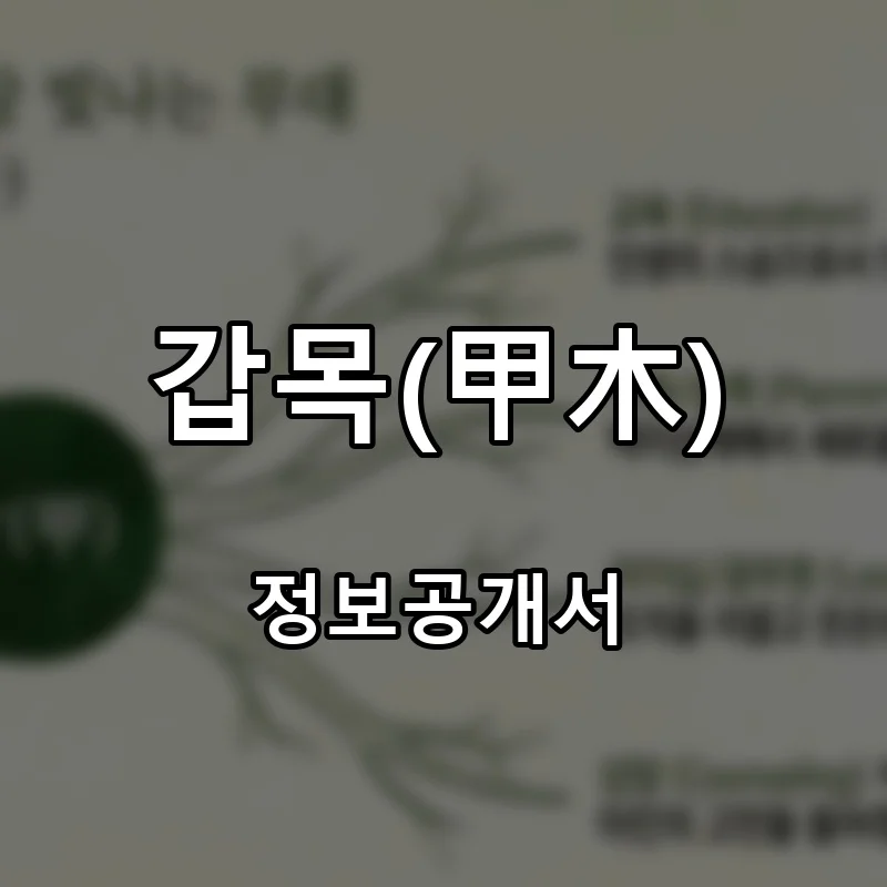갑목(甲木) 프랜차이즈 창업 비용 정보공개서 요약