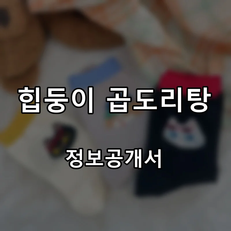 힙둥이 곱도리탕 프랜차이즈 창업 비용 정보공개서 요약