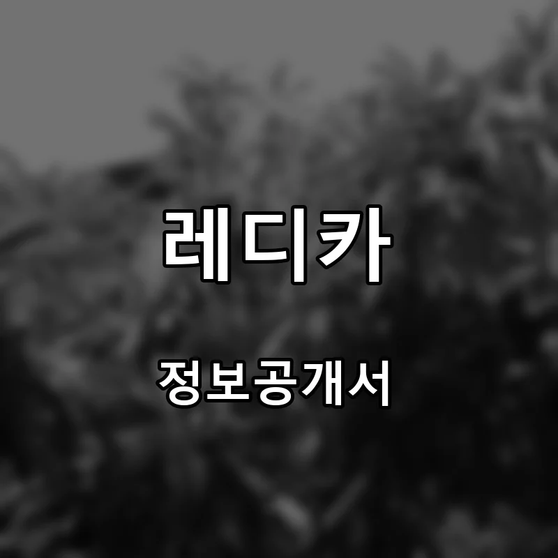 레디카 프랜차이즈 창업 비용 정보공개서 요약