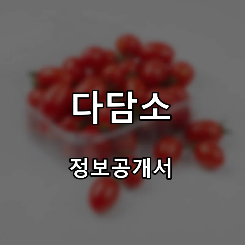 다담소 프랜차이즈 창업 비용 정보공개서 요약